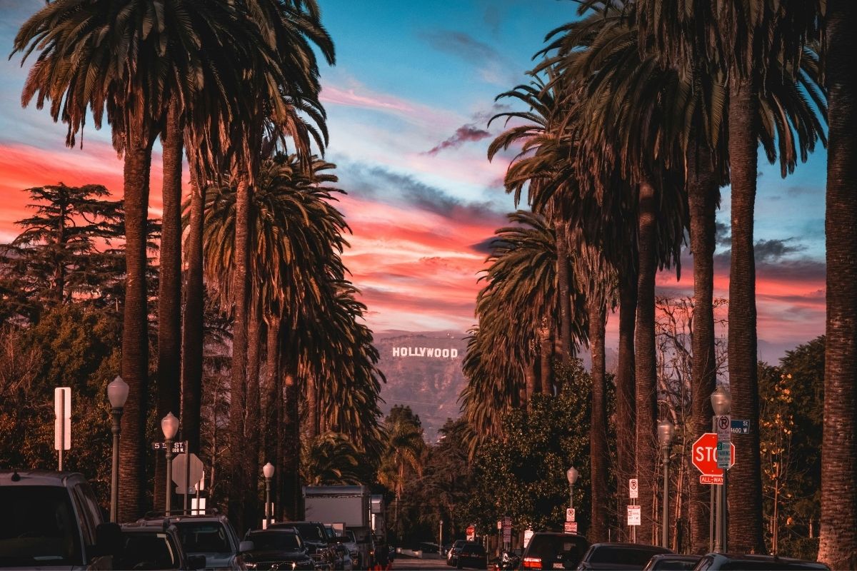 Los Angeles palm trees with the Hollywood sign at sunset for plastic surgery marketing